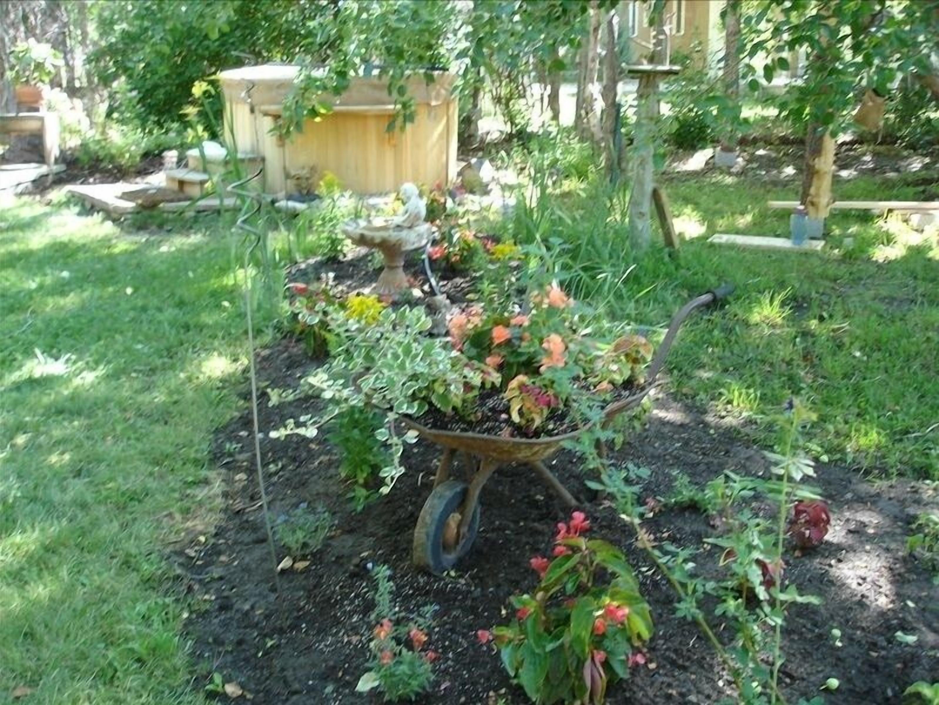 Ein Garten mit einem Schubkarren voller Pflanzen und einem Vogelbad.