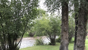 Ein Fluss, umgeben von Bäumen und grünen Wiesen.