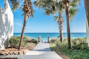 A pathway leading to a beach with palm trees and a clear view of the ocean. - Seagrove Beach - Gulf front - Private Beach/Pool - Gated access- Newly Renovated (Santa Rosa Beach)