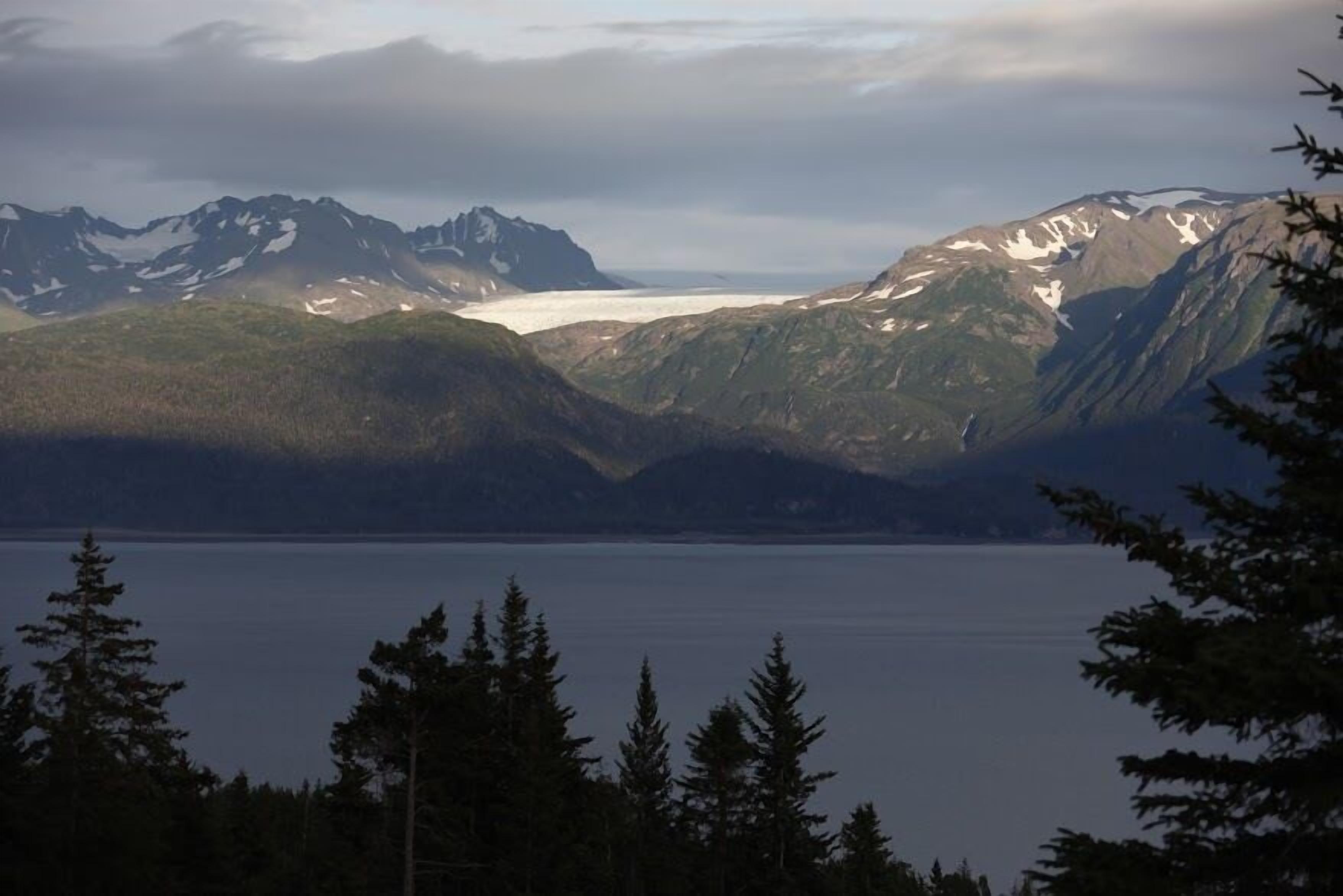 Un paysage montagneux avec un lac et une forêt dense.