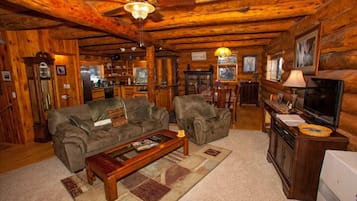 Smart TV, fireplace, DVD player, books