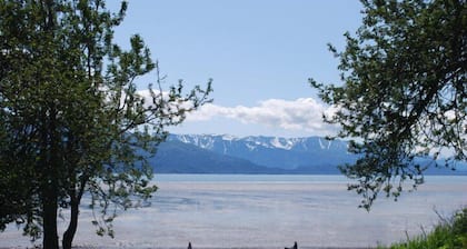Las águilas descansan en la granja Kilcher Family Homestead en Alaska, la última frontera de la bahía de Kachemak