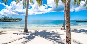 A beach with clear blue water, palm trees, and a dock.