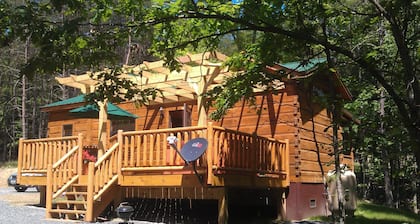 Private getaway w/ hot tub, wifi. Secluded amongst trees & near Sleepy Creek. 