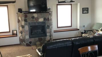 Smart TV, fireplace, books