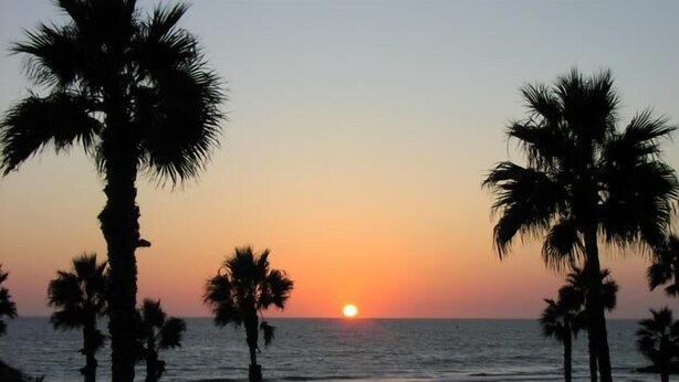 Un atardecer sobre una playa con palmeras y un mar tranquilo.