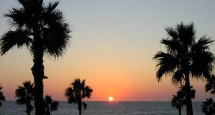 1BR Guest Apartment On Private Estate -KING BED- Pick Oranges by the Front Door