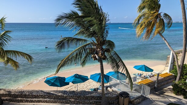A beach with palm trees, a sandy shore, and a clear blue sea. - OCEAN FRONT, 7M BEACH, PLANTATION VILLAGE #28 (George Town)