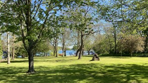 A park with a grassy area, trees, and a body of water in the background. -  the "LAKE HOUSE" - PONTOON INCLUDED (Middleville)