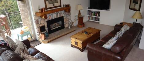 Smart TV, fireplace, DVD player, books