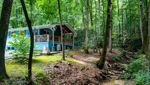 Una baita con veranda, immersa in una foresta.
