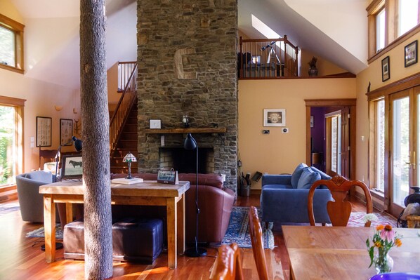 TV connectée, cheminée, lecteur de DVD