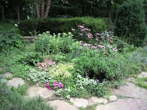 Escape to a serene oasis surrounded by lush greenery and natural stone features.
