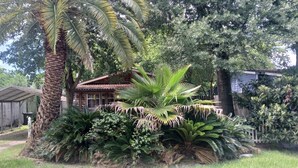 Ein Haus, umgeben von üppiger Vegetation, darunter Palmen und verschiedene Pflanzen.