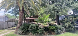 A house surrounded by lush greenery, including palm trees and various plants.