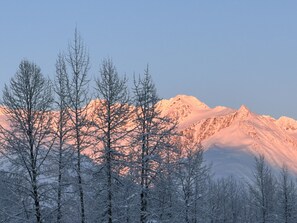 Shower, hair dryer, towels, soap - Base of Alyeska, walk to attractions, beautiful vacation home, private sauna! (Anchorage)