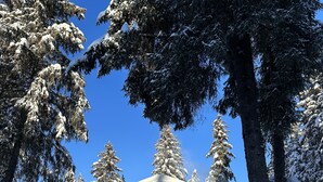 Een gebouw bedekt met sneeuw, met een blauwe garage, omringd door sneeuwklare bomen en een heldere blauwe lucht.