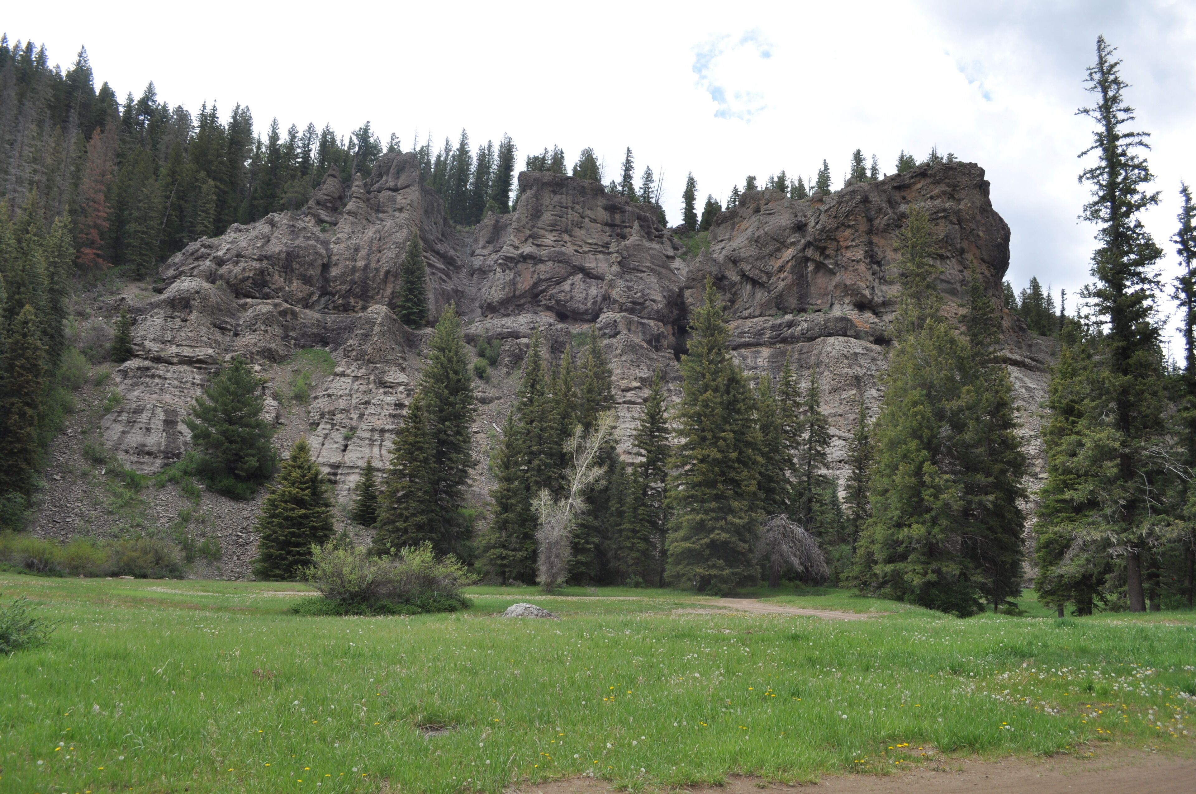 A natural landscape with a rocky cliff, dense forest, and a grassy field.