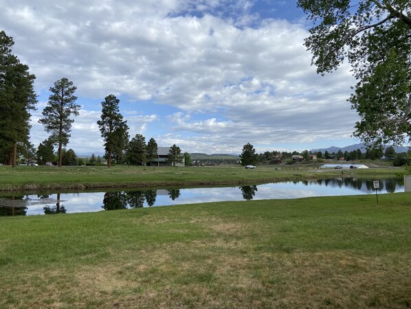 A serene landscape with a pond, grassy areas, and trees.