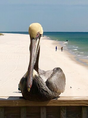 On the beach