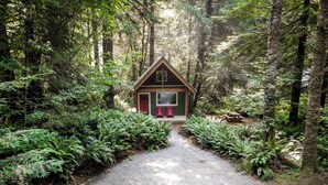 Une cabane accessible par un chemin de gravier, entourée d’une végétation luxuriante composée de fougères et d’arbres.