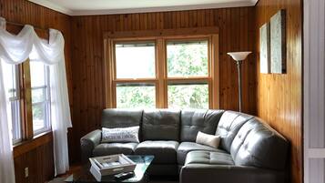 TV connectée, cheminée, lecteur de DVD, livres