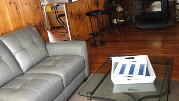 TV connectée, cheminée, lecteur de DVD, livres