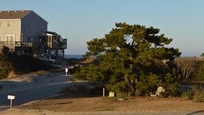 A two-story house with a balcony, a large pine tree, and a beach in the background. - Beach? We gotcha Beach-oceanside, only steps from uncrowded beautiful beach  (Nags Head)