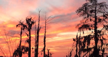 Hermosas puestas de sol, cipreses y retiro de musgo español