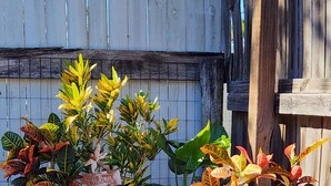 A variety of potted plants in different sizes and colors, placed on a gravel surface with a wooden fence in the background.