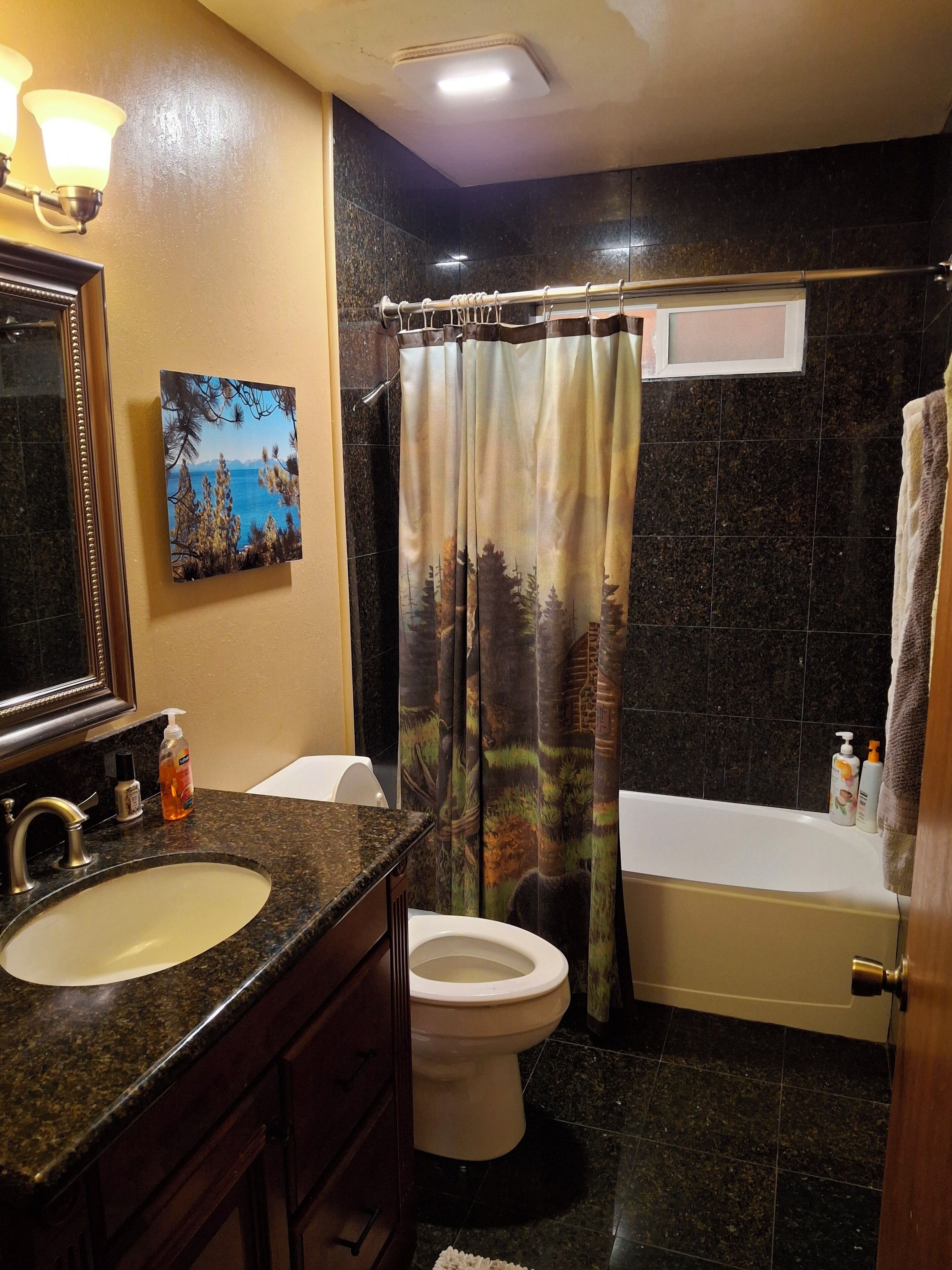 Combined shower/tub, hair dryer, towels, soap