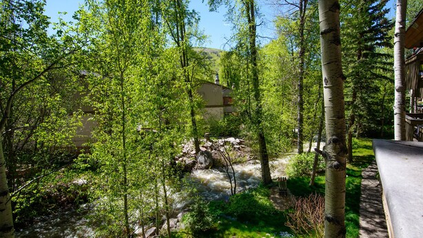 Eine friedliche Flusslandschaft mit einer Holzhütte und üppigem Grün.