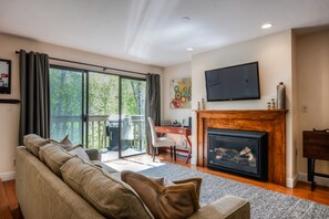 Télévision, cheminée, lecteur de DVD, chaîne hi-fi