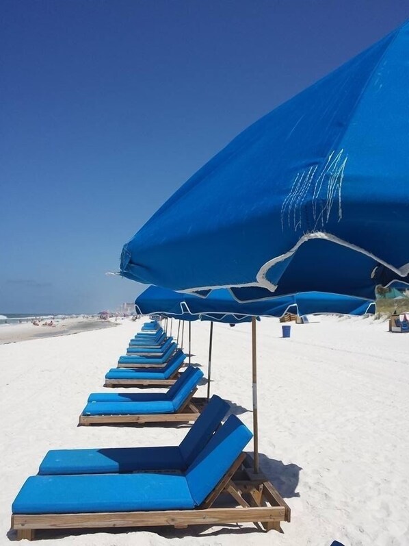 Time To Get Your Beach Fun On! Complimentary Lounge Beach Chairs,WiFi