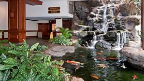 A hotel lobby with a koi pond, a waterfall feature, and a sign indicating 'Tower 1 Makai'.