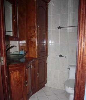 Douche, séchoir à cheveux, serviettes fournies, savon