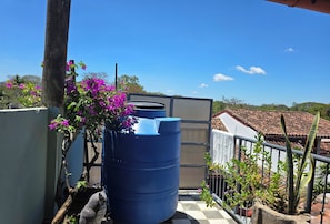 Terras