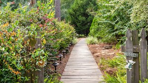 A wooden pathway leading through a garden with a welcome sign and a frog decoration. - Tifton, GA - Shalom Guest House - Cabin in Peaceful Setting (Tifton)