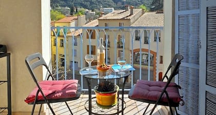 Ceret Centre -Sun-Filled Apt, mountain views with A/C