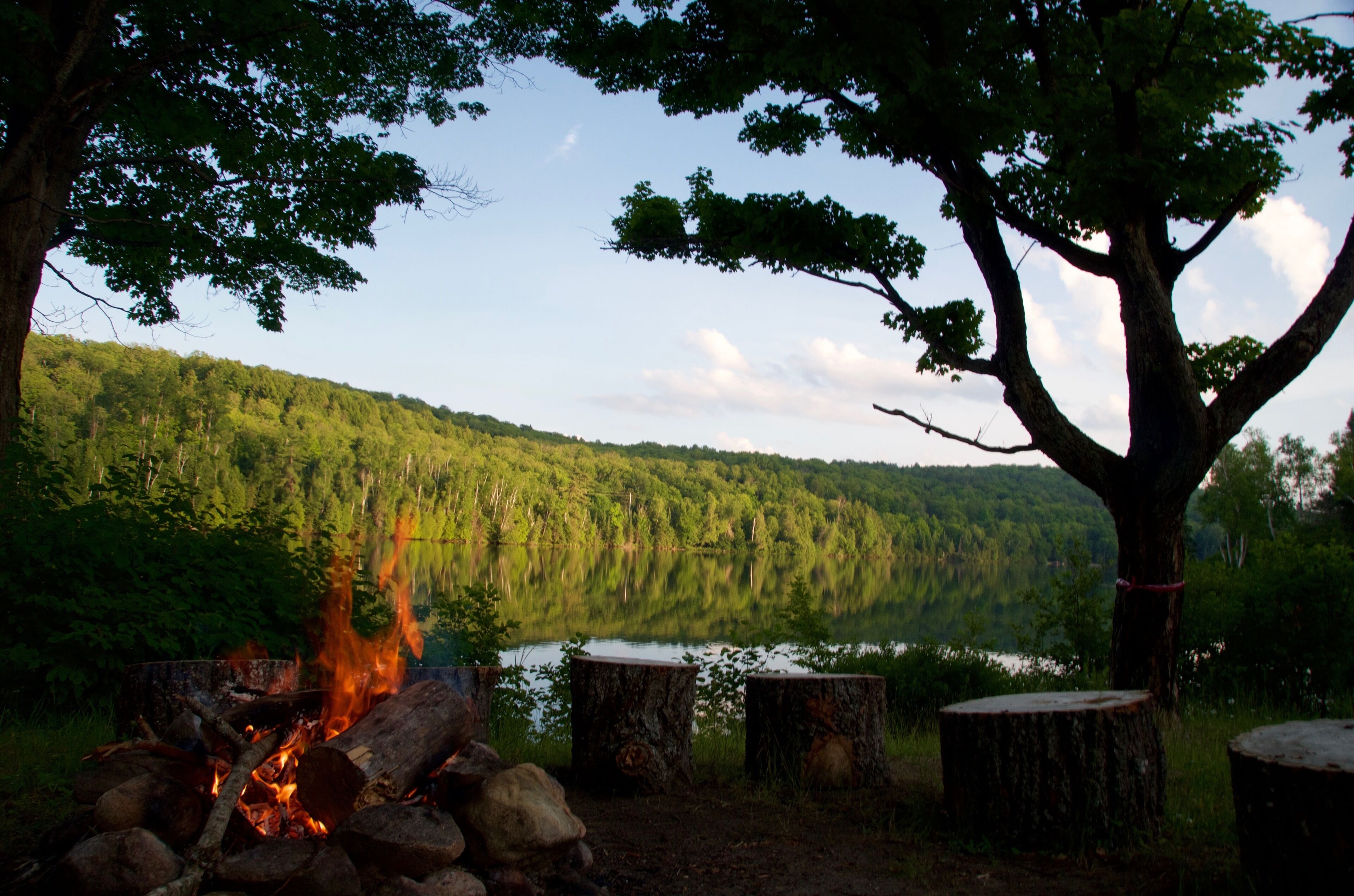 Un feu de camp entouré d’arbres et bordé par un lac.