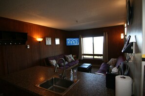 تلفزيون بشاشة مسطحة، مدفأة، مشغل دي في دي، ستيريو