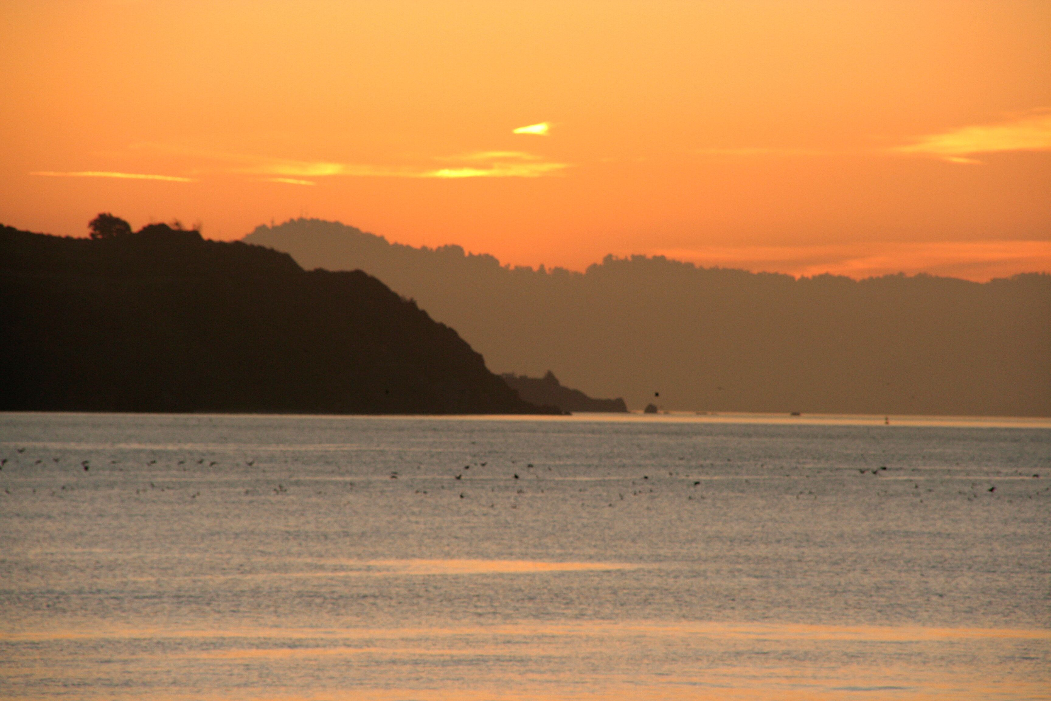 Spectacular Bay Views - Swanky Sausalito