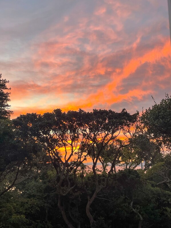 A sunset view with trees in the foreground and a body of water in the background.