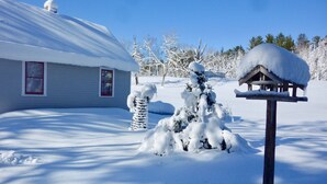 A snow-covered house with a red window frame, a snow-covered bird feeder, and snow-laden trees in the background.