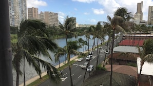 Vista de una calle con palmeras, un cuerpo de agua y edificios al fondo.