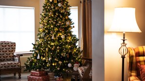 A Christmas tree with ornaments and lights, surrounded by chairs and a lamp.