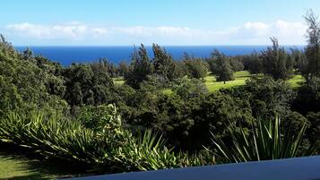 Un paisaje exuberante con vegetación densa y vista al océano.