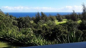 A lush landscape with dense greenery and a view of the ocean.