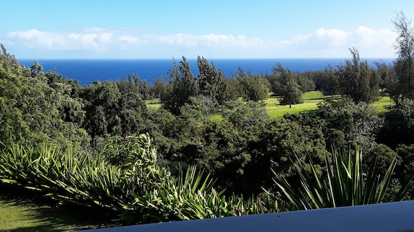 A lush landscape with dense greenery and a view of the ocean. - "The land of Sunshine" - fantastic ocean views, peaceful, romantic getaway (Honokaa)
