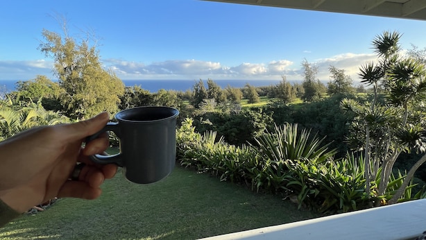 A hand holding a mug, overlooking a lush garden with a view of the ocean and sky.
